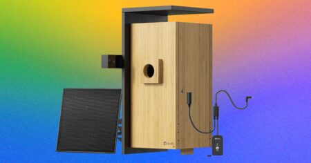 Review: Birdfy Nest Duo