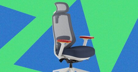 Review: Branch Ergonomic Chair Pro (Sega Edition)