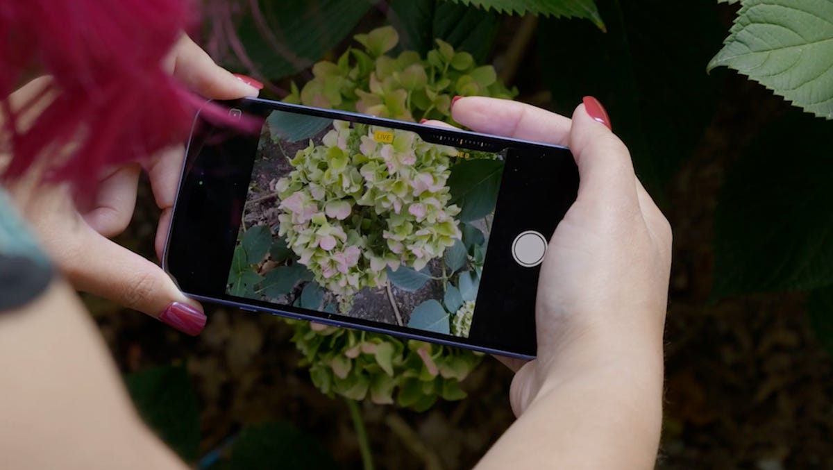 A woman holding the iPhone 16 to take a photo of a flower.