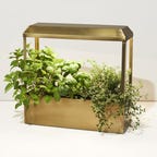 smart-growhouse