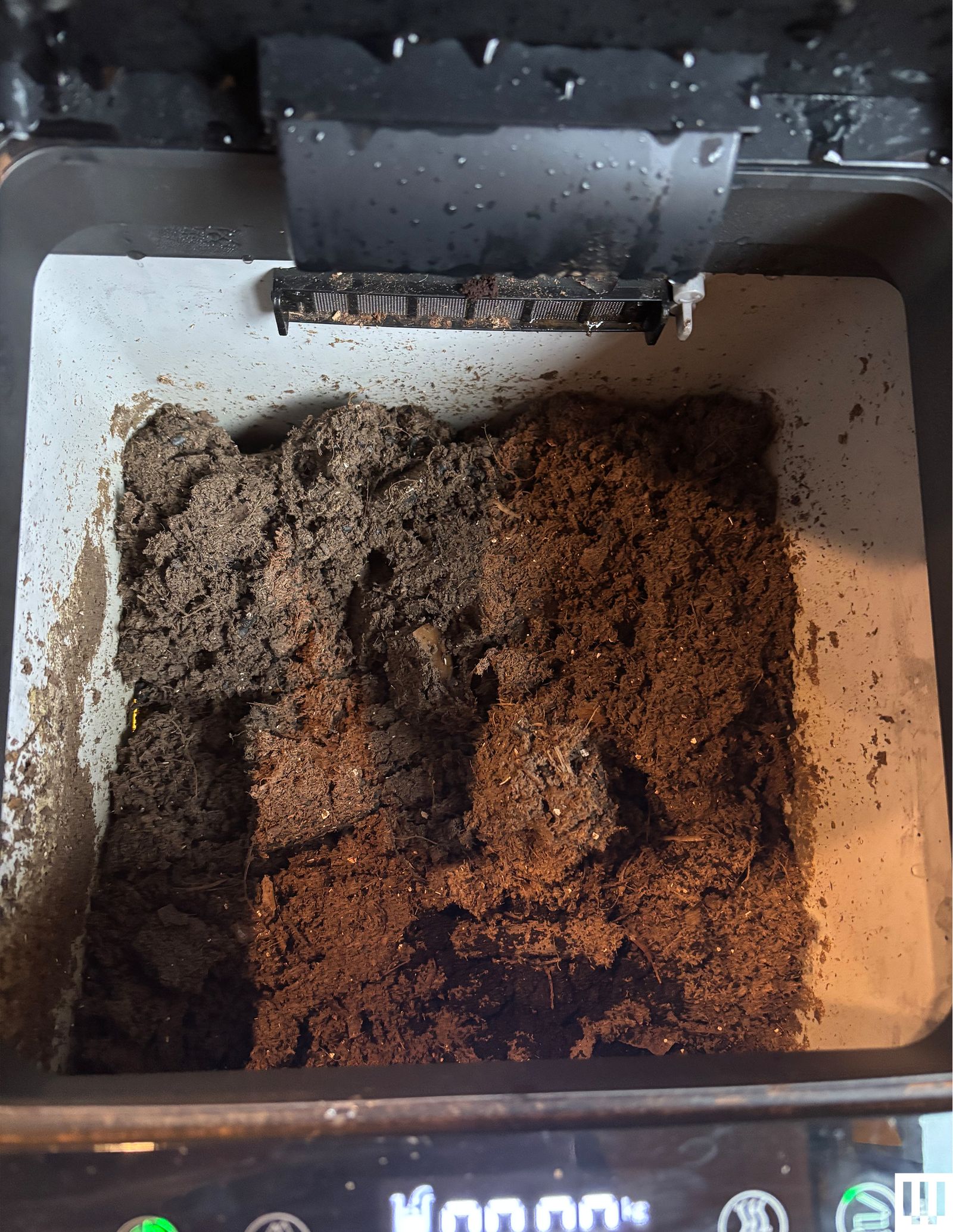 Image may contain Home Damage and Termite Damage