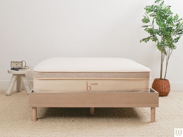 Birch Luxe Natural Mattress, a white mattress with tan trim, on a minimalist wooden frame with a nightstand and potted plant on either side