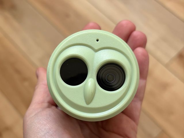 Image may contain: Baby, Person, Hardwood, and Wood