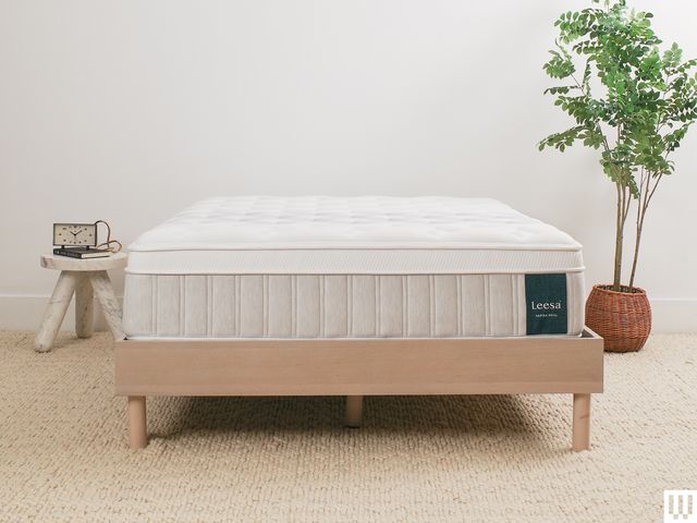 Leesa Sapira Chill, a white side sleeper mattress with tan trim, on a minimalist wooden frame with a nightstand and potted plant on either side