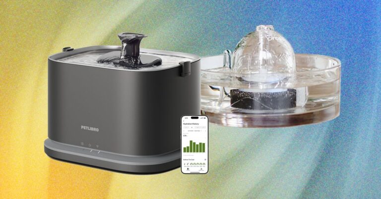 The Best Cat Water Fountains