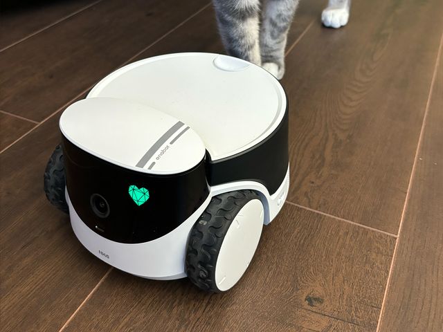 Enabot Rola PetPal Robot Pet Companion