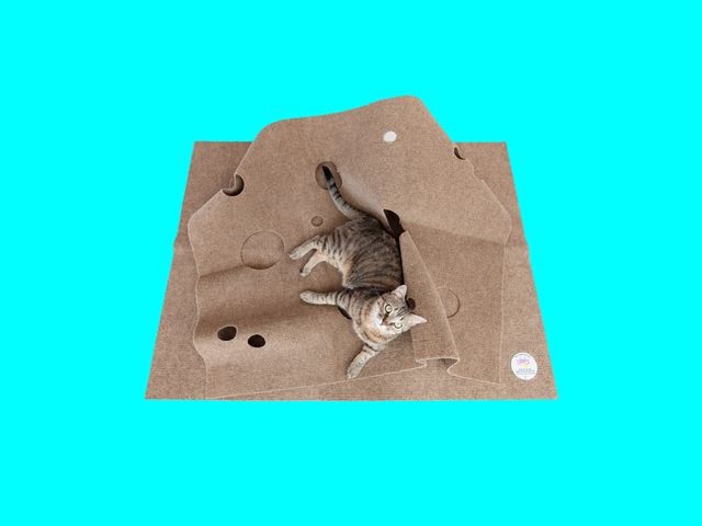 Cat lying on the Ripple Rug