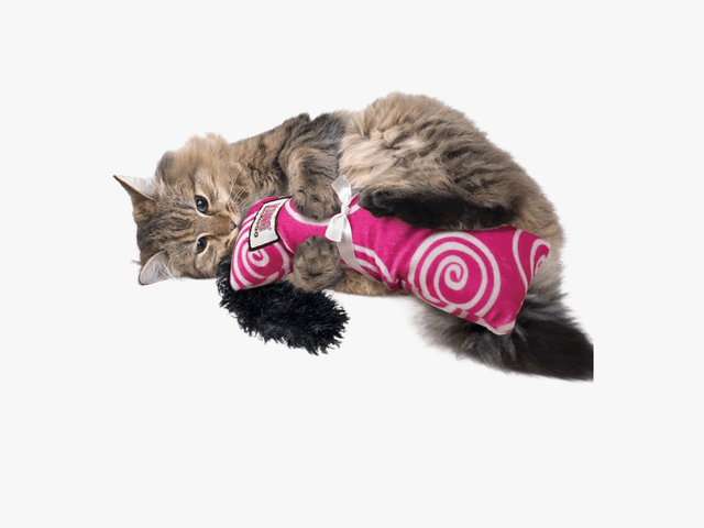 Image may contain: Animal, Cat, Kitten, Mammal, Pet, Accessories, Formal Wear, Tie, Plush, and Toy