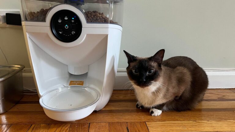 The Whisker Feeder Robot Solved My Cat Feeding Anxiety When I’m Away From Home