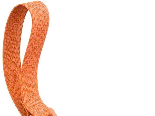 Image may contain: Electrical Device, Microphone, and Electronics