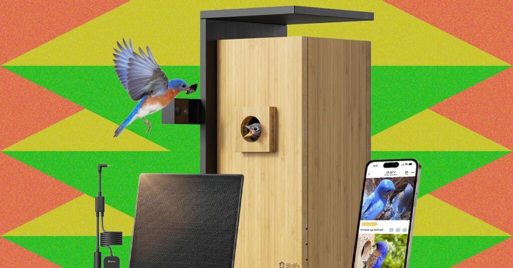 Amazon’s Spring Sale Is Blooming With Smart Bird Feeders