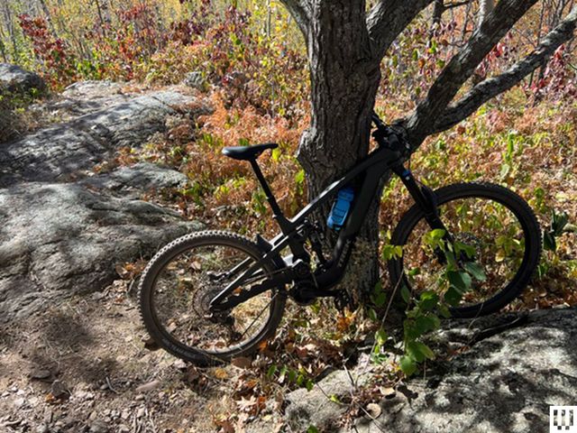 Side view of the Trek Slash Plus, an electric mountain bike, leaning against a tree in a wooded area with rocks and trees with orange, yellow and brown leaves