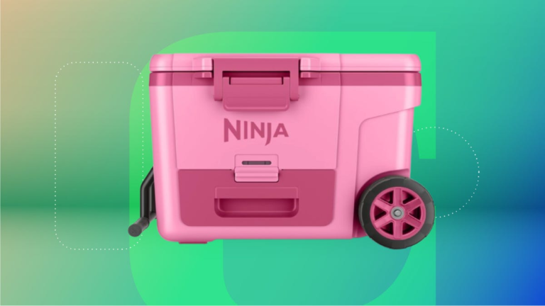 Keep Your Drinks Ice Cold With the Ninja FrostVault Cooler and Save $50