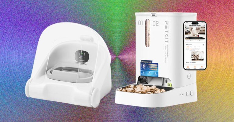 The Best Automatic Cat Feeders