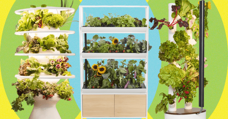 I Tried 13 of the Most Popular Indoor Gardening Systems