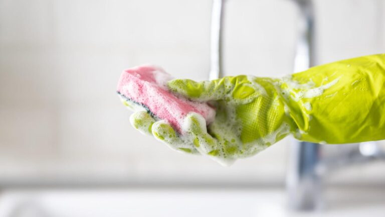 The 8 Kitchen Items You’re Keeping Too Long (and What That’s Actually Costing You)