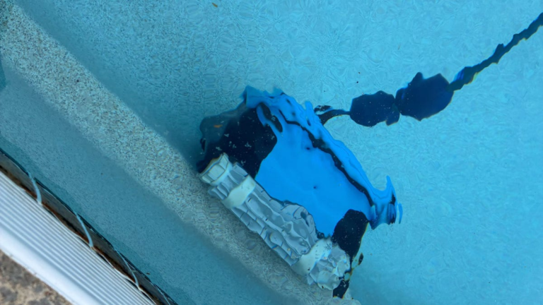 This Dolphin Robot Vacuum Has Kept My Pool Spotless For 2 Years With No Issues