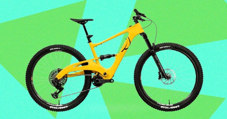 Review: Lauf eElja Electric Mountain Bike
