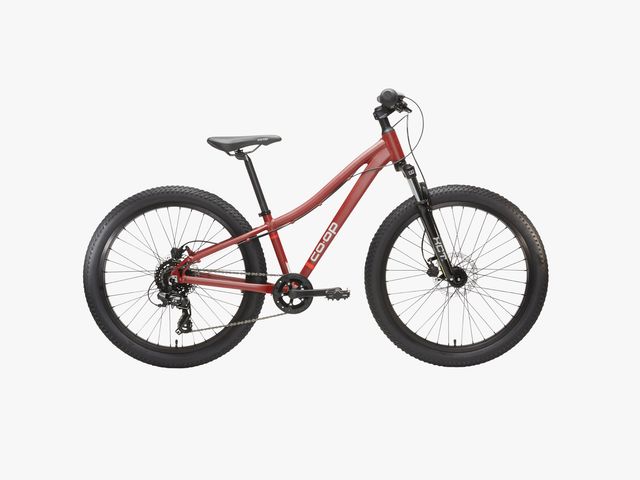 Image may contain: Bicycle, Mountain Bike, Transportation, Vehicle, Machine, and Wheel