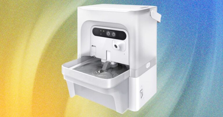 I Tested the Best Cat Water Fountains—These Are Worth Buying