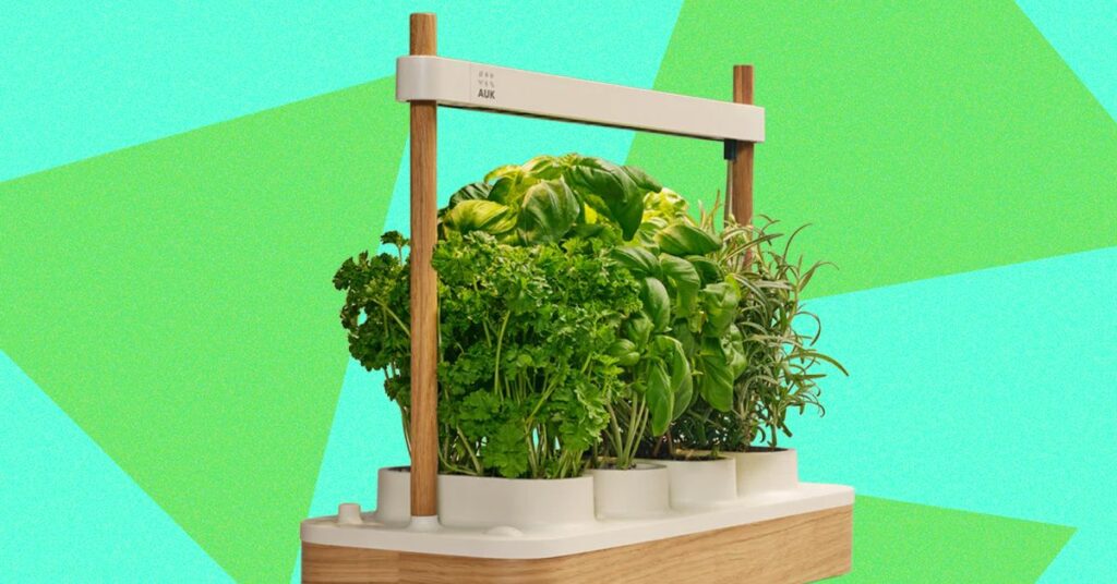 Review: Auk Mini 2 Indoor Smart Garden