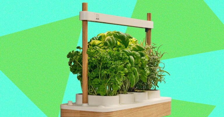 Review: Auk Mini 2 Indoor Smart Garden
