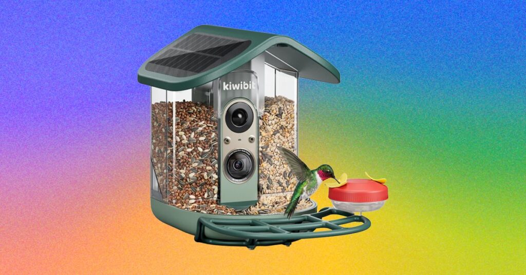 Review: Kiwibit Bird Feeder 2 Pro